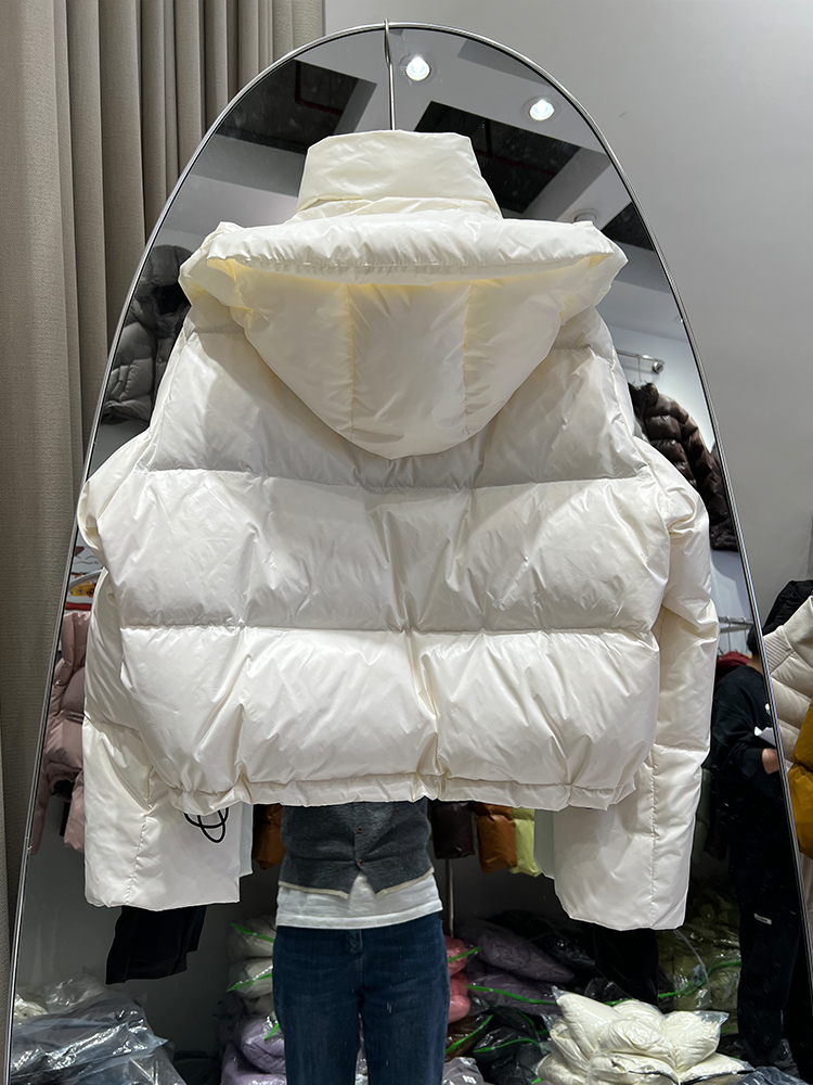 Nieuwe Mode Winter Houd Warm 9 - Women'S Fashion Quilted Jacket recensie en prijs